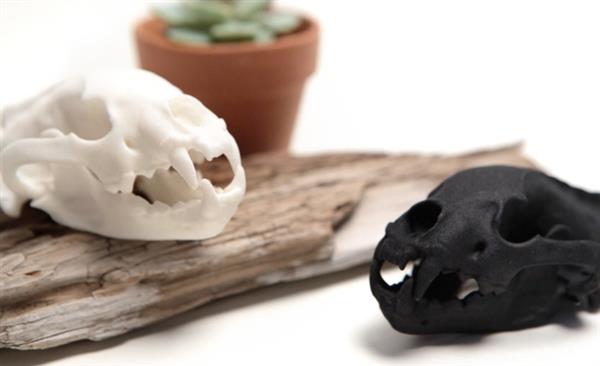fire-bone-unveils-8-new-species-latest-3d-printed-animal-skull-jewelry-line-10.jpg