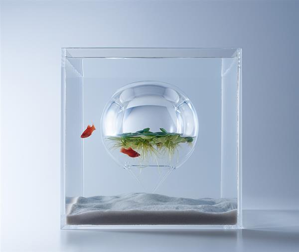 haruka-misawa-3d-printed-aquascapes-wish-fish-12.jpg