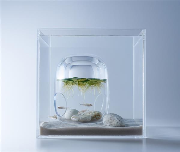 haruka-misawa-3d-printed-aquascapes-wish-fish-6.jpg