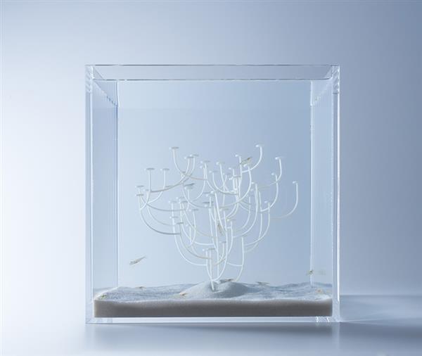 haruka-misawa-3d-printed-aquascapes-wish-fish-8.jpg