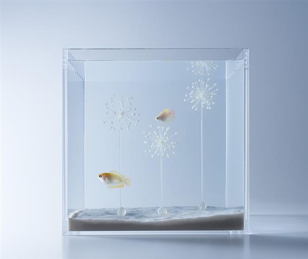 haruka-misawa-3d-printed-aquascapes-wish-fish-9.jpg