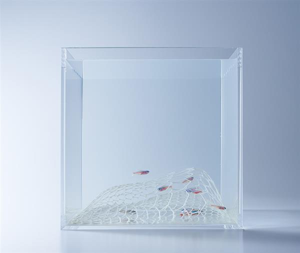 haruka-misawa-3d-printed-aquascapes-wish-fish-10.jpg